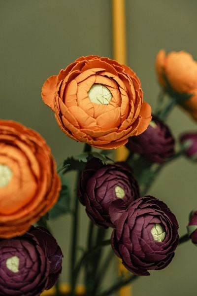  RANUNCULUS Paper Flower + ITAC Vase 