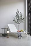  Ghế tắm nắng ALIZÉ XS 