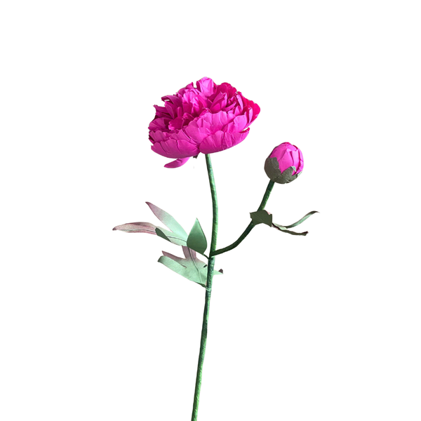  FUSHIA PEONY Paper Flower 