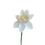  LOTUS Paper Flower 