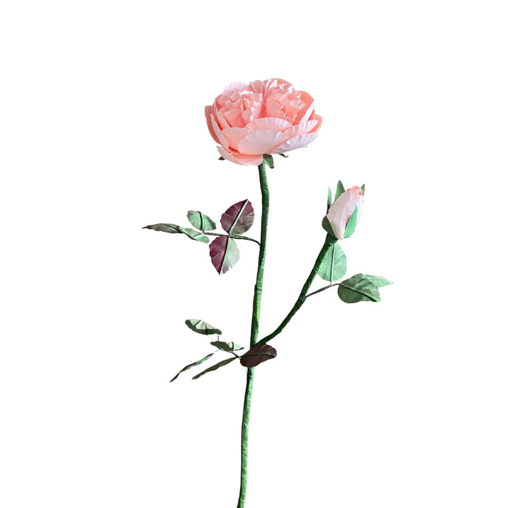  PIANO ROSE Paper Flower 