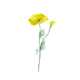  POPPY IRELAND Paper Flower 