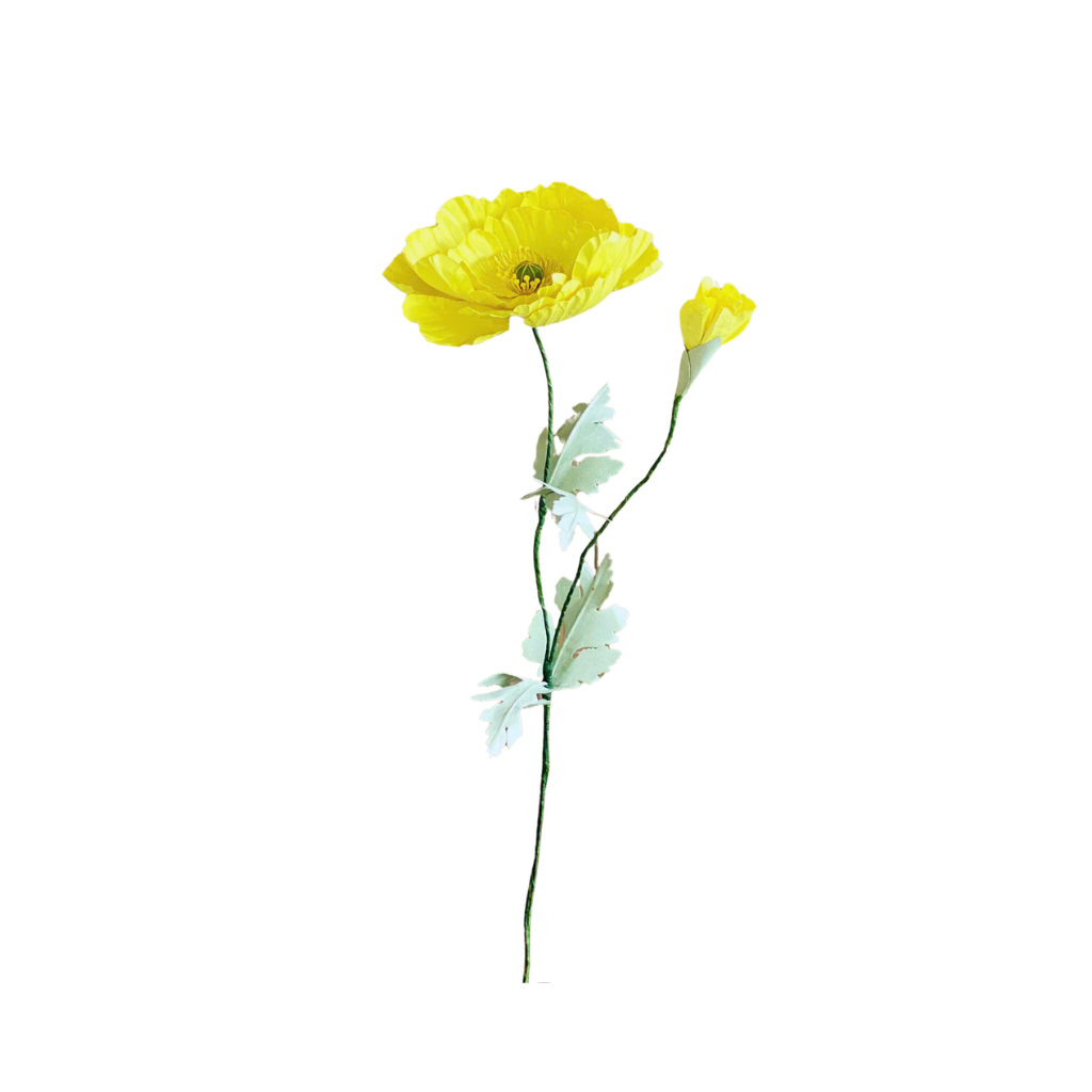  POPPY IRELAND Paper Flower 