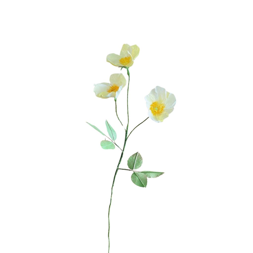  WILD ROSE Paper Flower 