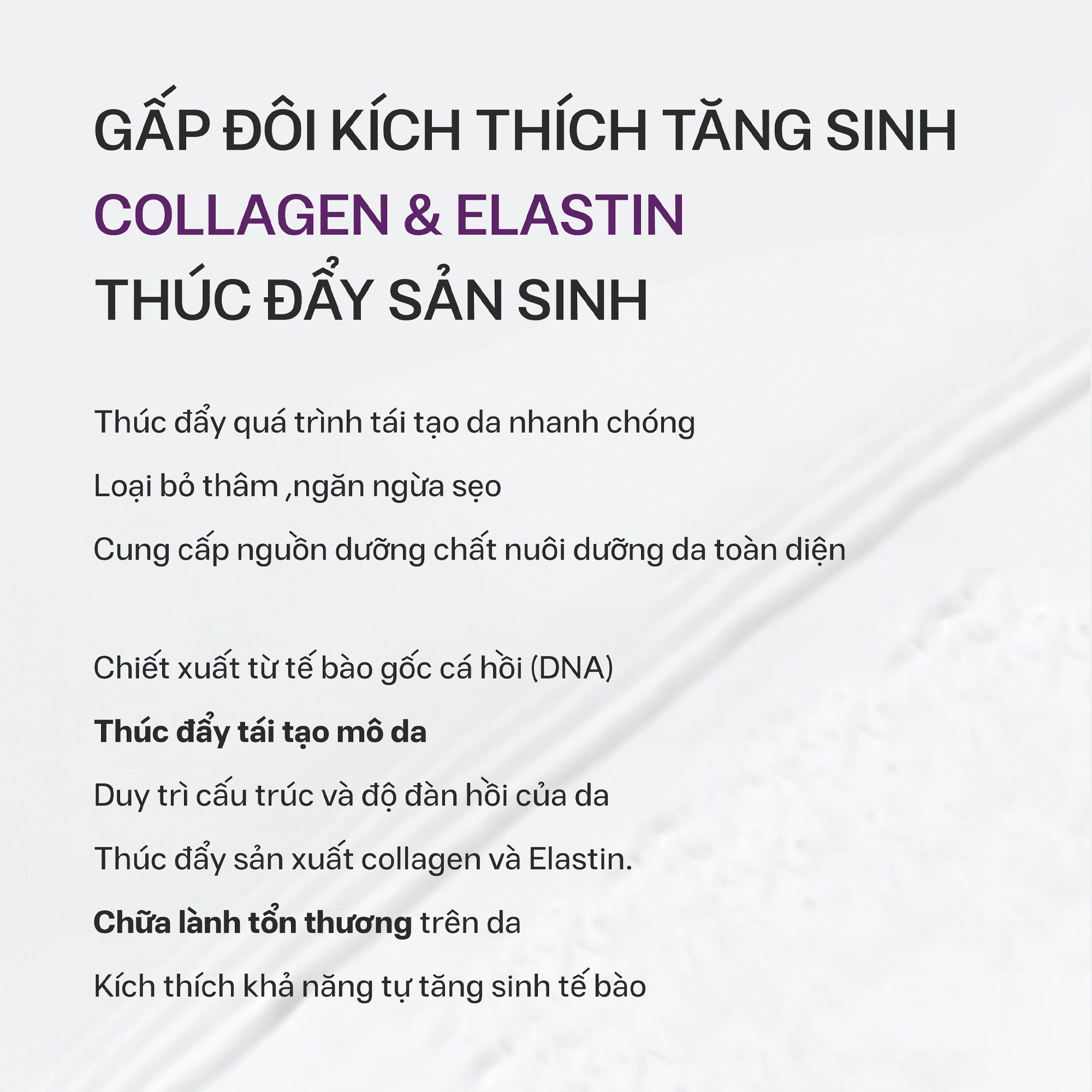 Tăng Sinh Collagen và Elastin: Bí Quyết Để Làn Da Trẻ Đẹp, Săn Chắc