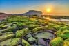 ĐÀ NẴNG - JEJU - ĐÀ NẴNG