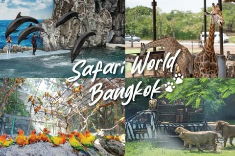 ĐÀ NẴNG - BANGKOK - PATTAYA - SAFARI WORLD