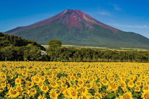 HCM: OSAKA - KYOTO - NAGOYA - PHÚ SĨ - TOKYO (Tháng 7 - tháng 8)