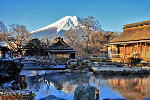 HCM: OSAKA – KYOTO – NAGOYA – PHÚ SĨ  – TOKYO (VIETNAMAIRLINE)