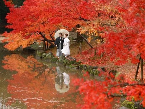 HỒ CHÍ MINH - NHẬT BẢN – MÙA THU  IBARAKI – NÚI PHÚ SĨ - TOKYO – NARITA (THÁNG 10-11)