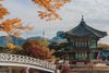 HÀN QUỐC MÙA HÈ RỰC RỠ: SEOUL - ĐẢO NAMI - EVERLAND - STARFILDE