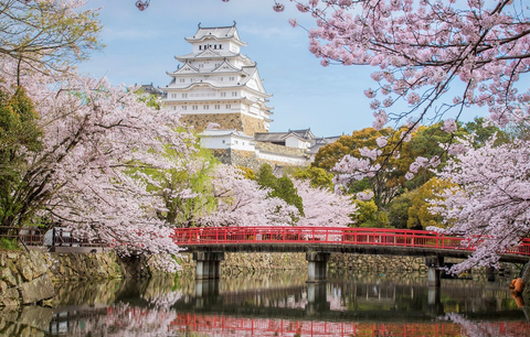 HCM: TOKYO – NÚI PHÚ SĨ – NAGOYA – KYOTO – OSAKA (Mùa Hoa Anh Đào)