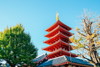 MÙA ĐÔNG NHẬT BẢN THÁNG 1: HCM - OSAKA – KYOTO – NAGOYA – PHÚ SĨ – TOKYO