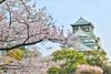KHÁM PHÁ CUNG ĐƯỜNG VÀNG NHẬT BẢN: TOKYO - NÚI PHÚ SĨ - NAGOYA - KYOTO - OSAKA