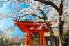 KHÁM PHÁ CUNG ĐƯỜNG VÀNG NHẬT BẢN: TOKYO - NÚI PHÚ SĨ - NAGOYA - KYOTO - OSAKA