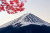 KHÁM PHÁ CUNG ĐƯỜNG VÀNG NHẬT BẢN: TOKYO - NÚI PHÚ SĨ - NAGOYA - KYOTO - OSAKA