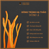  Đông trùng hạ thảo sấy thăng hoa Đông A 