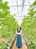  CAO NGUYÊN VÂN HÒA - BB FARM - VƯỜN ĐỎ BỐN BÌNH - CANARY GARDEN (1 Ngày) 