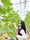  CAO NGUYÊN VÂN HÒA - BB FARM - VƯỜN ĐỎ BỐN BÌNH - CANARY GARDEN (1 Ngày) 