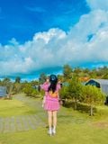  CAO NGUYÊN VÂN HÒA - BB FARM - VƯỜN ĐỎ BỐN BÌNH - CANARY GARDEN (1 Ngày) 