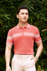 Áo polo thiết kế ( Hồng đậm, 39)