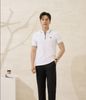 Áo polo thiết kế, (Trắng, 39)