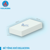 Gạch AAC 600x200x100 mm