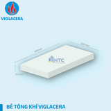  Gạch AAC 600x200x50mm 