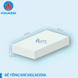  Gạch AAC 600x300x100 mm 
