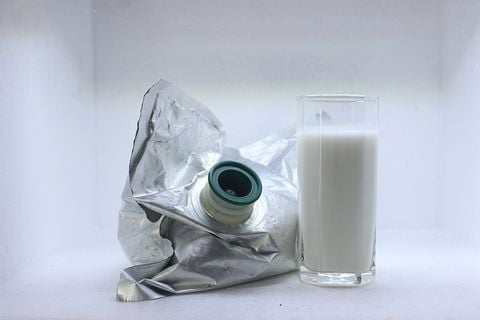  Organic Aseptic Coconut Milk (17 % Fat) 
