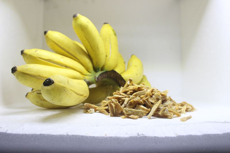 Organic Dried Banana Chunks bioasien