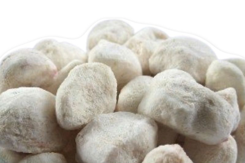  Organic IQF Mangosteen 