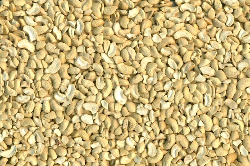  Organic White Broken Kernels LWP 