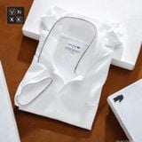  Áo Thun Nam POLO LCST CỔ V TRƠN KHÔNG NÚT BASIC SlimFit - Vải Dày Nhẹ Mát Cao Cấp Hàng Xuất Xịn Có Big Size 