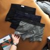Quần Lót (Sịp) Nam BOXER LCST CÁ SẤU ĐÙI Chất Vải Lụa Lỗ Kim Cotton 4 Chiều Cực Mịn Và Mát hàng xuất xịn chính hãng