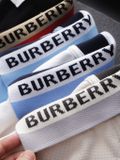  Áo Polo Nam Burberry chữ viền cổ LONDON ENGLAND Cao Cấp Form Regular Vải Mắt Cá Mập Mát Hàng Xuất Xịn 6 Màu 