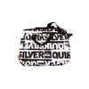 Túi chống sốc Laptop QuikSilver