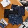 Quần lót sịp nam Boxer CK   Vải Cotton Bamboo co giãn, thoáng khí, đai mịn mát cao cấp xuất xịn Chuẩn Hãng