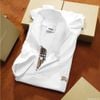 Áo Thun Nam Polo BURBERRY LOGO VÀNG 6 MÀU Form Regular-Fit Vải Dệt Tơ Cao Cấp Sang Trọng