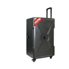 Loa kéo Dalton TS-15G700X (kèm 2 mic) 700W Bass 40cm 15''