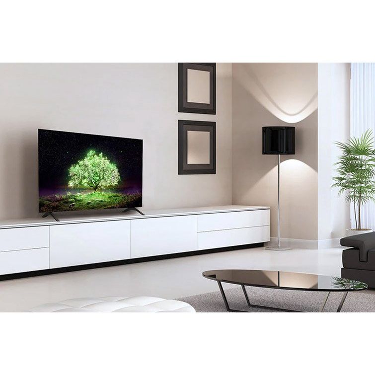 OLED Tivi 4K LG 65 inch 65A1PTA ThinQ AI