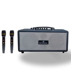 Loa kéo di động Mitsunal M5S 480W Bass20 (kèm 2 mic) 6''