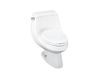 Bồn cầu KOHLER 1 khối K-3494T-AT-0