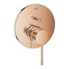 Mặt nạ bộ trộn sen âm GROHE 24058DA1