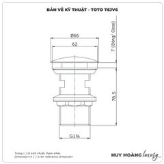 Bộ xả nhấn lavabo TOTO T6JV6
