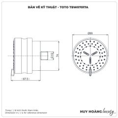 Đầu phun sen âm tường TOTO TBW07017A (2 chế độ)