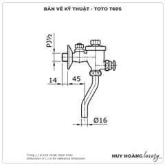 Van xả nhấn tiểu nam TOTO T60S