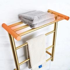 Giàn sấy khăn tắm DAELIM BTW6048