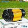  MÁY BƠM NƯỚC NAVY CHUYÊN ĐẨY CAO, ĐẨY XA THÂN NHÔM 1100TB Gold 