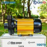  MÁY BƠM NƯỚC NAVY CHUYÊN ĐẨY CAO, ĐẨY XA THÂN NHÔM 1100TB Gold 
